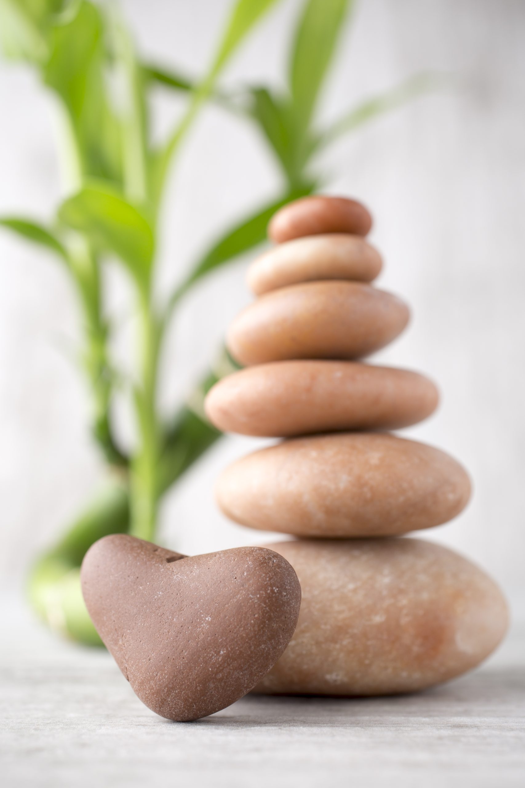 Health and Wellbeing